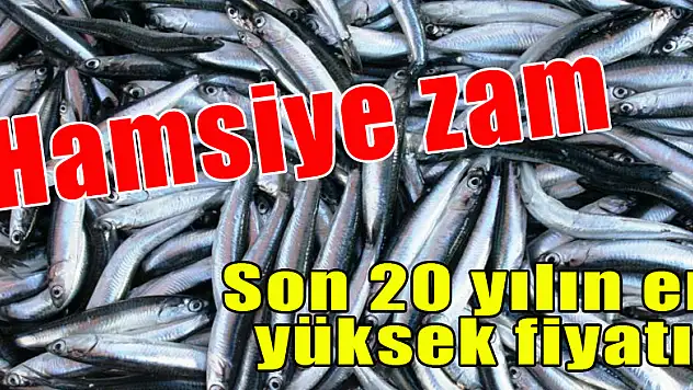 Hamsiye zam! Son 20 yılın en yüksek fiyatına ulaştı