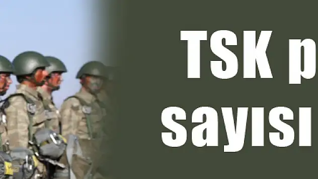 TSK personel sayısı açıkladı