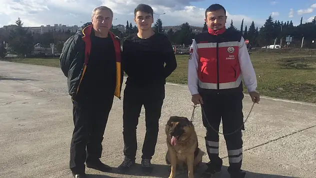 Hava ambulans servisinin kaybolan bekçi köpeği bulundu