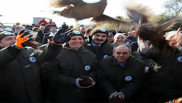 Bakan Eroğlu ve Kılıç 200 sülünü doğaya saldı