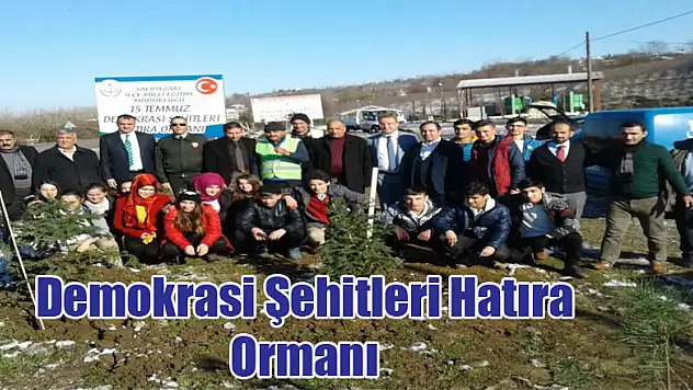 Demokrasi Şehitleri Hatıra Ormanı