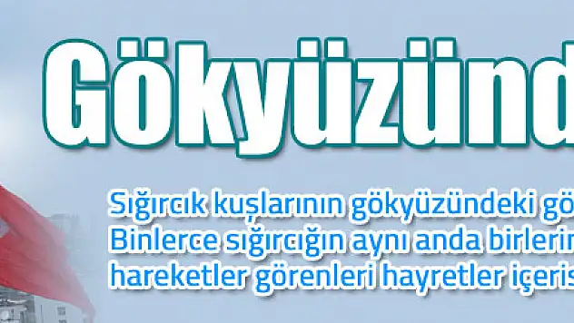 Gökyüzünde sığırcık şöleni