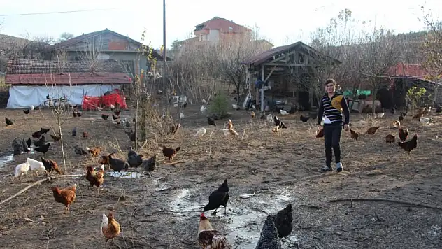 Aile ekonomisine tavuk dopingi