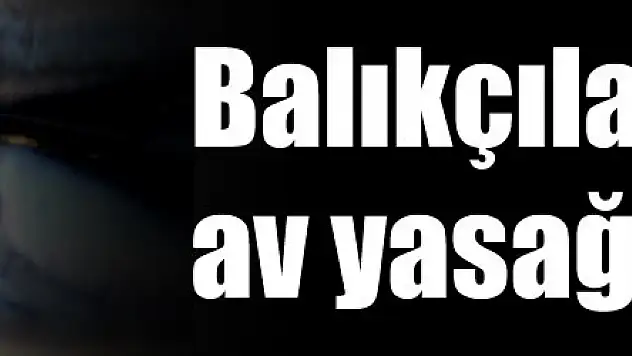 Balıkçılar av yasağı istiyor!