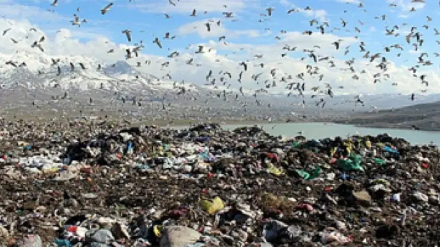 Çevreyi kirletenlerin cezaları belli oldu