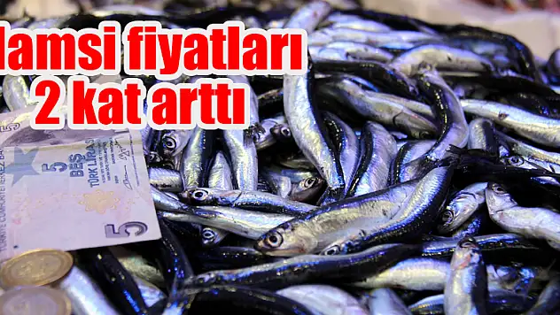 Hamsi fiyatları 2 kat arttı
