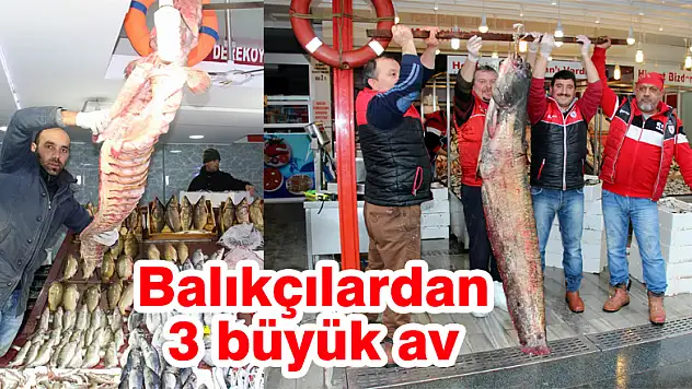 Balıkçılardan 3 büyük av