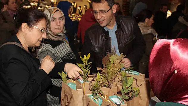 Samsun'da 4 bin fidan dağıtıldı