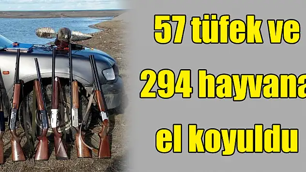 Samsun'da 57 tüfek ve 294 hayvana el koyuldu 