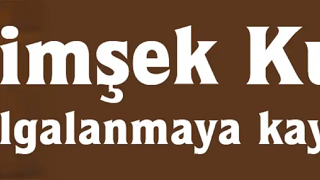 Şimşek: Kurdaki dalgalanmaya kayıtsız değiliz