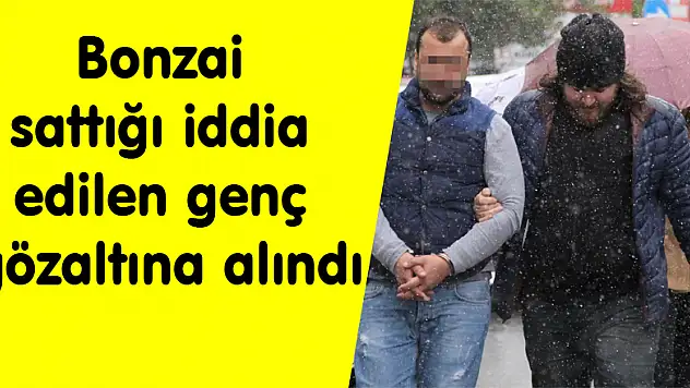 Bonzai sattığı iddia edilen genç gözaltına alındı