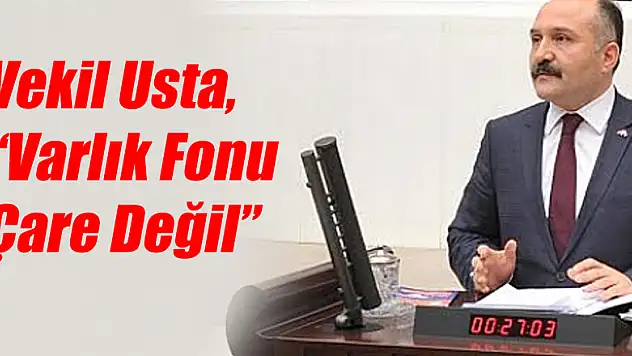 Usta, 'Varlık Fonu Çare Değil'