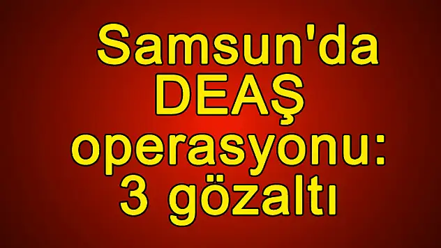 Samsun'da DEAŞ operasyonu: 3 gözaltı