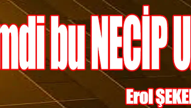 Kimdi bu NECİP UZUN ?