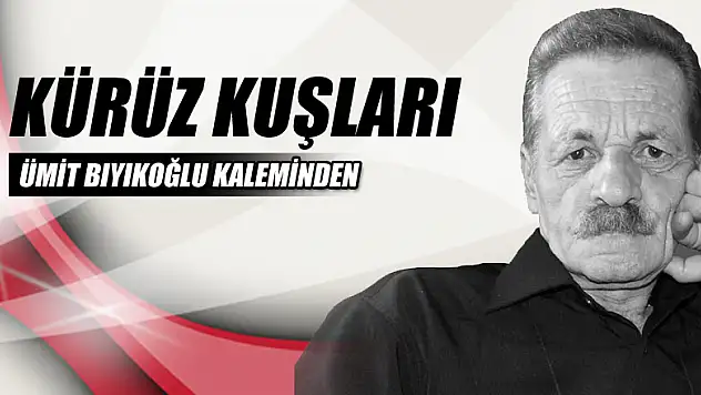 KÜRÜZ KUŞLARI
