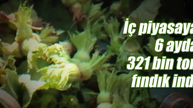 İç piyasaya 6 ayda 321 bin ton fındık indi