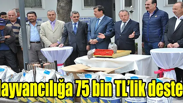 Büyükşehirden hayvancılığa 75 bin TL'lik destek