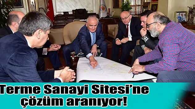 Terme Sanayi Sitesi'ne çözüm aranıyor!