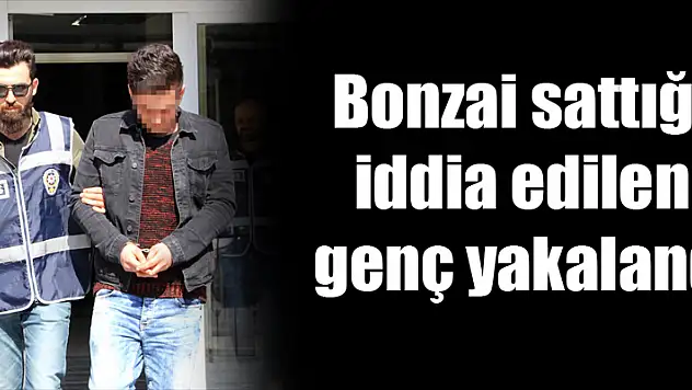 Bonzai sattığı iddia edilen genç yakalandı