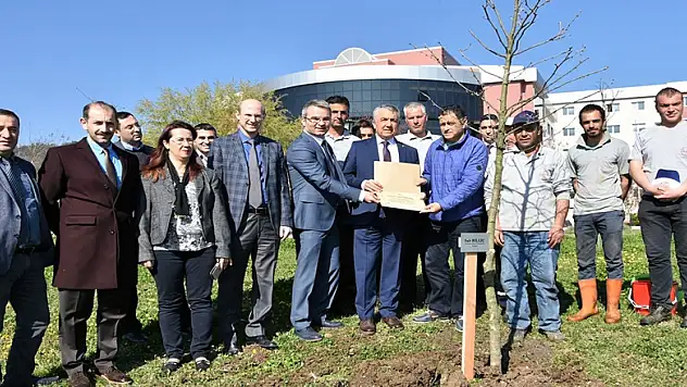 OMÜ'de fidanlar toprak ile buluşuyor