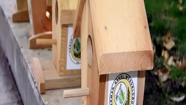 Bin adet kuş yuvası Samsun ormanlarına bırakılacak