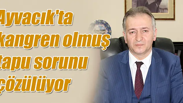 Ayvacık'ta kangren olmuş tapu sorunu çözülüyor