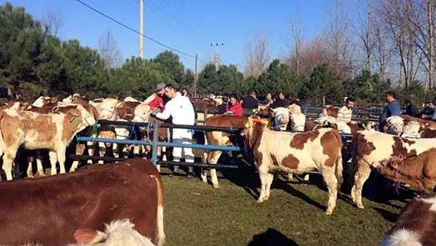 Gıda, tarım ve hayvancılık için 8 milyonluk proje