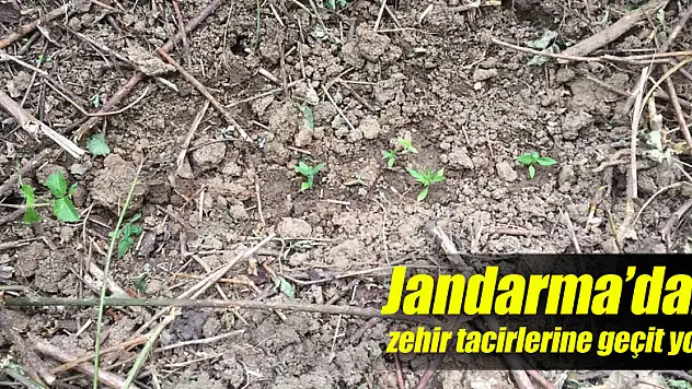 Jandarma'dan zehir tacirlerine geçit yok!