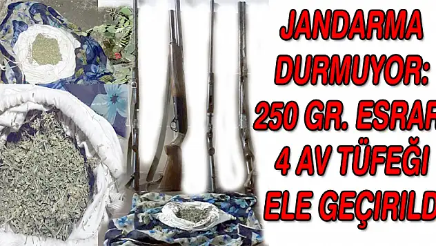 Jandarma durmuyor: 250 Gr. Esrar, 4 Av tüfeği ele geçirildi