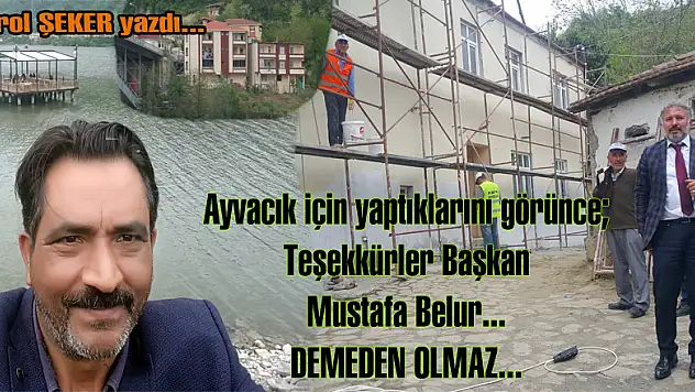 Teşekkürler Mustafa Belur...
