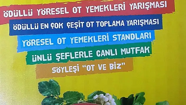 Ot Yemekleri Festivali başlıyor