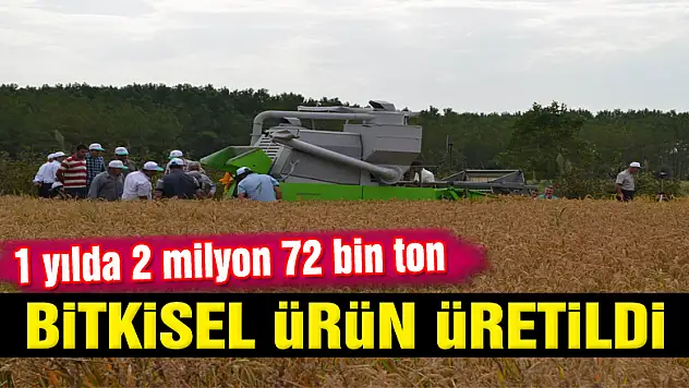 Samsun'da 1 yılda 2 milyon 72 bin ton bitkisel ürün üretildi
