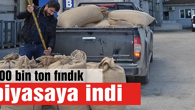 400 bin ton fındık piyasaya indi