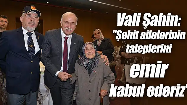 Vali Şahin: 'Şehit ailelerinin taleplerini emir kabul ederiz'