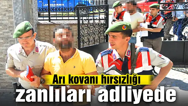 Arı kovanı hırsızlığı zanlıları adliyede