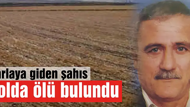 Tarlaya giden şahıs yolda ölü bulundu