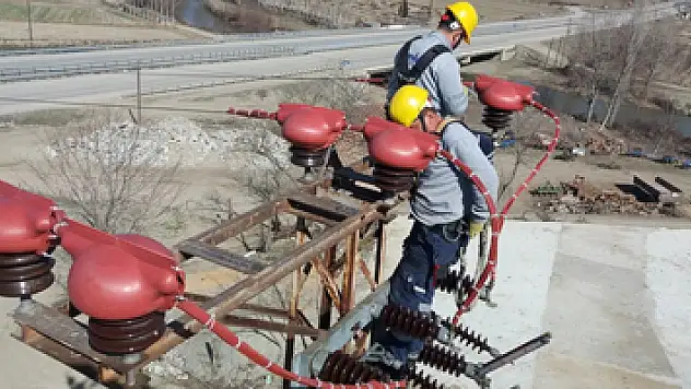 Enerji nakil hatları göçmen kuşlar için güvenli hale getirildi