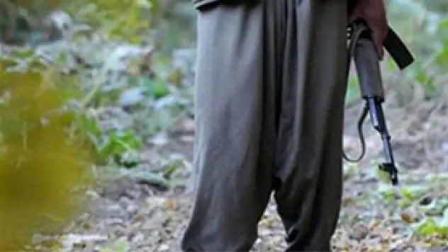 Lice'de etkisiz hale getirilen iki terörist yeşil listede