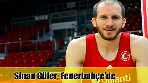 Sinan Güler, Fenerbahçe'de