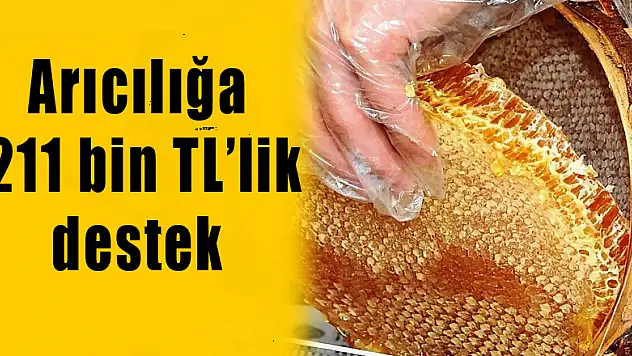Büyükşehirden arıcılığa 211 bin TL'lik destek