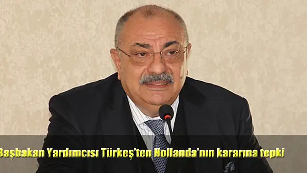 Başbakan Yardımcısı Türkeş'ten Hollanda'nın kararına tepki