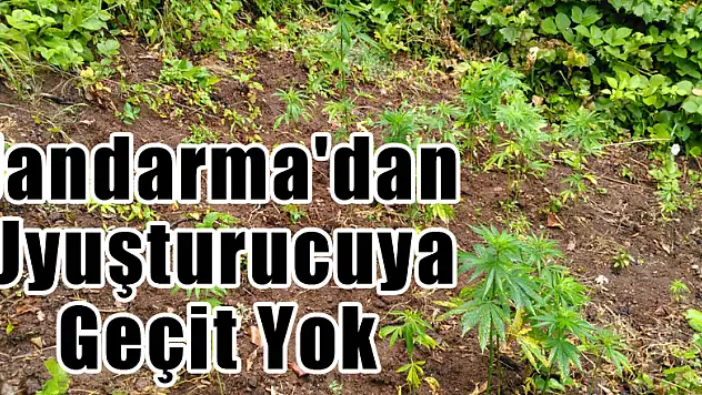 JANDARMA'DAN UYUŞTURUCUYA GEÇİT YOK