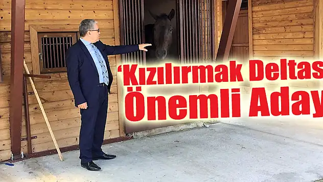 Tekinsoy: 'Kızılırmak Deltası Önemli Aday'