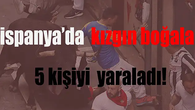İspanya'da kızgın boğalar 5 kişiyi yaraladı!
