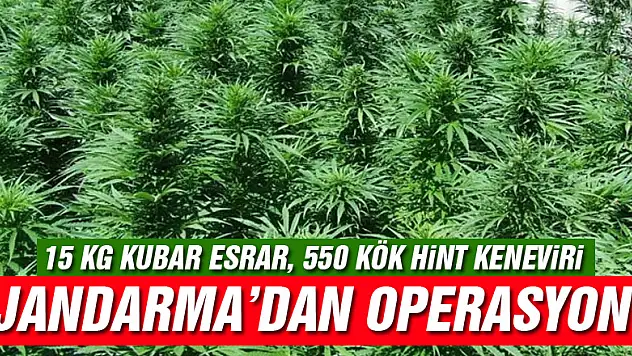 Çarşamba'da 15 kg kubar esrar yakalandı