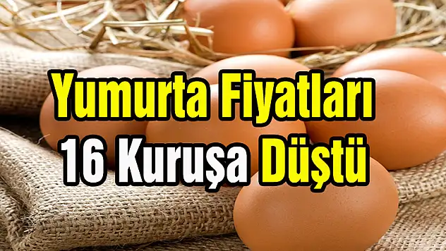 Yumurta Fiyatları 16 Kuruşa Düştü