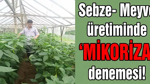 Sebze- Meyve üretiminde 'MİKORİZA' denemesi!