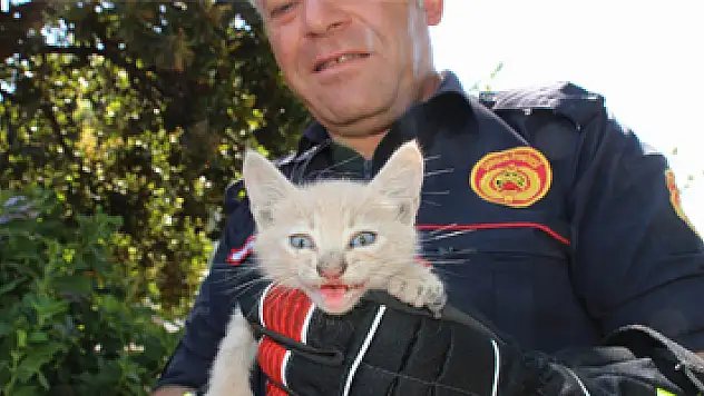 Yavru kedinin imdadına itfaiye yetişti