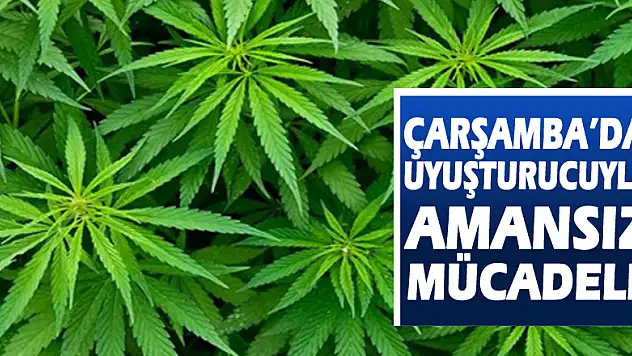 Çarşamba'da uyuşturucuyla amansız mücadele