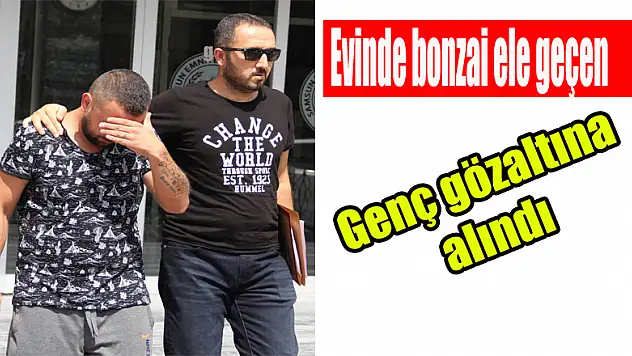 Evinde bonzai ele geçen genç gözaltına alındı